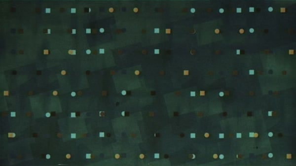 Gallery image 63